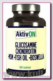 Aktivon Glucosamine Chondroitin MsmFish OilBoswellia